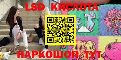спайс Кингисепп