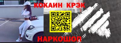 спайс Кингисепп