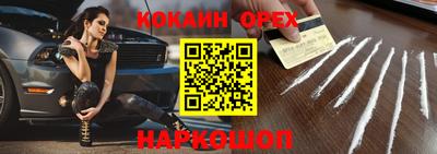спайс Кингисепп
