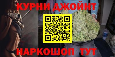 спайс Кингисепп