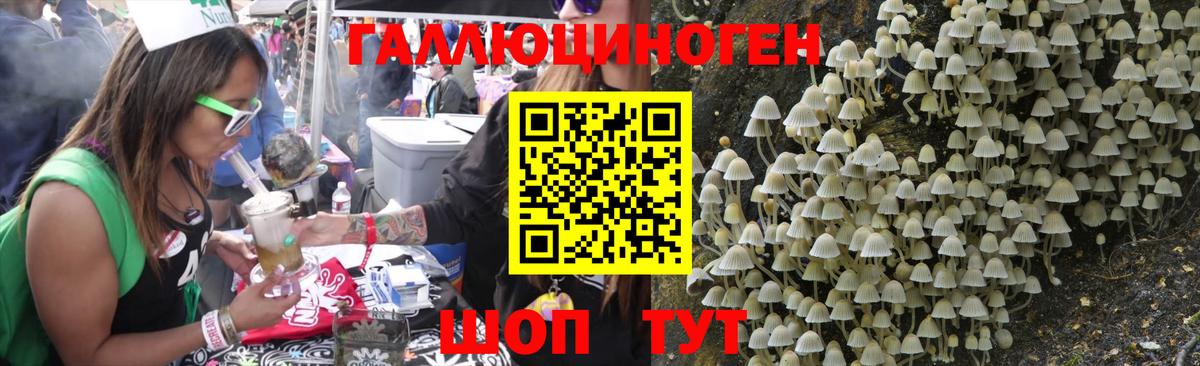 Балаково  Псилоцибиновые грибы Psilocybine cubensis  Вход с VPN 